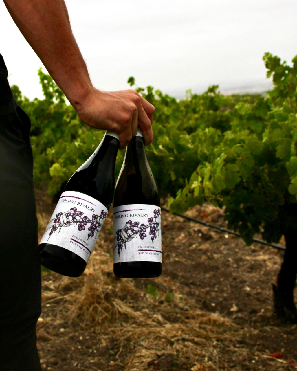 Two Sibling Rivalry bottles carried through the vineyard