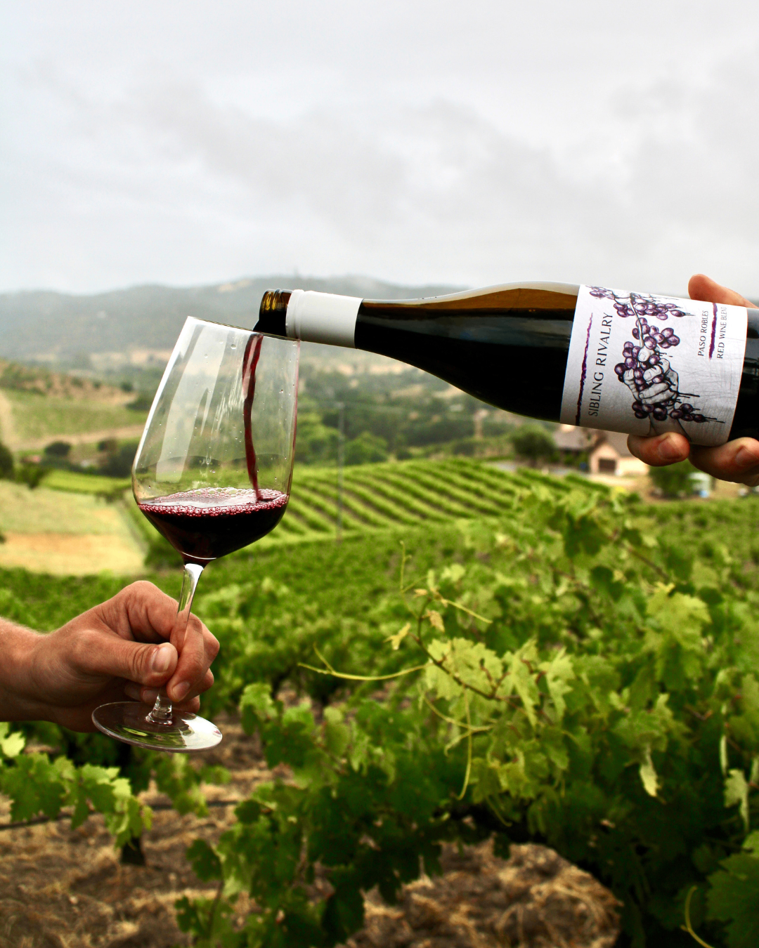 Sibling Rivalry wine being poured in the vineyard